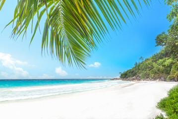 Palm trees and white sand in Anse Georgette in Praslin island