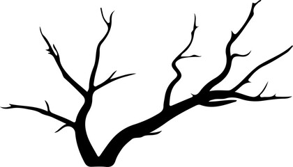 Fototapeta premium Tree branch slihouette