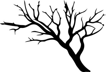 Tree branch slihouette