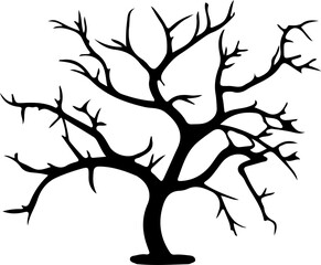 Obraz premium Tree branch slihouette