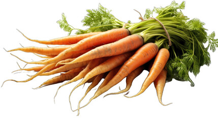 Fresh carrot on transparent png - obrazy, fototapety, plakaty