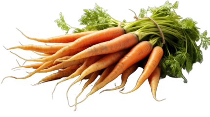 Fresh carrot on transparent png