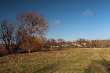 Obraz premium A field with trees and buildings in the background