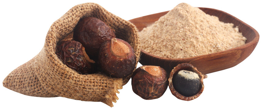 Sapindus mukorossi with powder