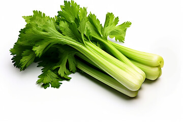 Isolated Fresh Celery Bunch on Transparent White Background, Vibrant Image of Healthy Organic Produce, Essential Herb for Culinary Delights and Nutritious Cooking, Promoting Healthy Eating Habits