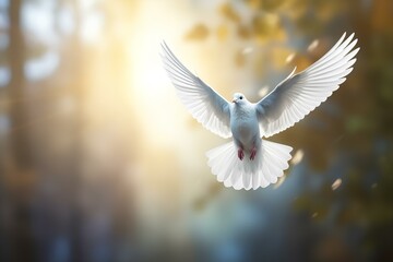 A white pigeon flying in the forest. - obrazy, fototapety, plakaty