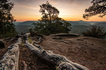 Landscape shot in sunrise, cold winter landscape from a sandstone rock in the middle of the forest....