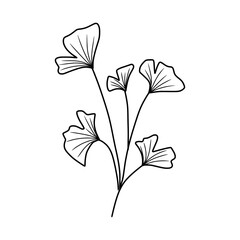 hand drawn flower 