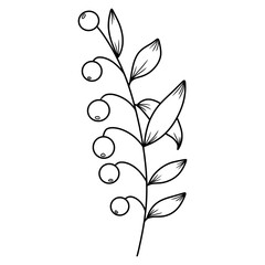 hand drawn flower 