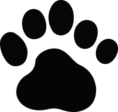 Animal paws dog paw