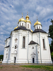 Fototapeta na wymiar The Catherine's Church is beautifully exemplified in this scene, with its gleaming golden domes and pristine white exterior, embodying the quintessence of Ukrainian Baroque design.