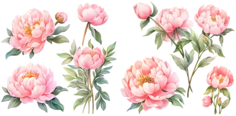 Behang Pink peony watercolor illustration clipart. Generative AI © Dian