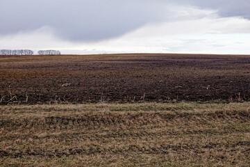 The image shows a vast, barren field with a line of trees in the background under a cloudy sky.