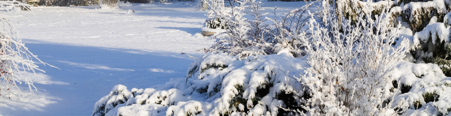 The snowy landscape of the garden, the snow has covered all the plants, bushes and grass.