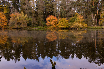 Whether sea, lake or river, water is one of the most beautiful elements of nature. Glistening in...