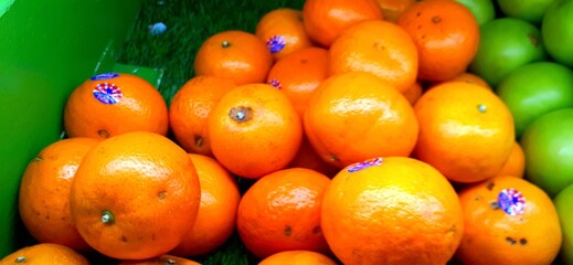 fruits and vegetables