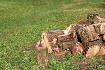 firewood in the grass for heating in the winter