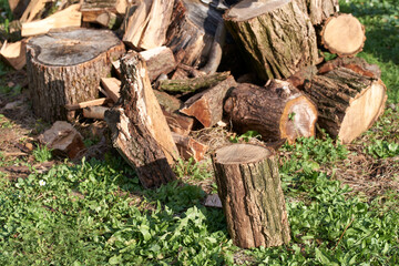firewood in the grass for heating in the winter
