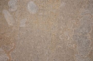 Cream color sea tiles background