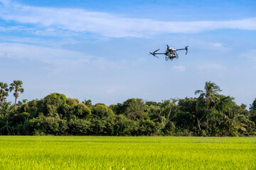 Fototapeta na wymiar Agricultural drones fly to sprayed Herbicide in rice fields
