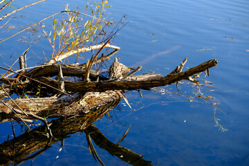 Whether sea, lake or river, water is one of the most beautiful elements of nature. Glistening in the sun, it makes every holiday even more beautiful.