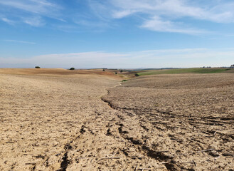 A farmland has been prepared for sowing winter wheat in December in Mediterrean region