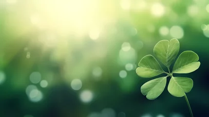 Foto op Plexiglas four leaf clover background © jiejie