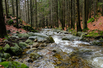 Fototapeta premium Whether sea, lake or river, water is one of the most beautiful elements of nature. Glistening in the sun, it makes every holiday even more beautiful.