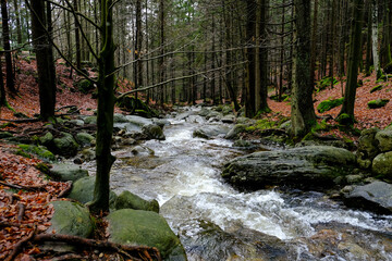 Whether sea, lake or river, water is one of the most beautiful elements of nature. Glistening in the sun, it makes every holiday even more beautiful.