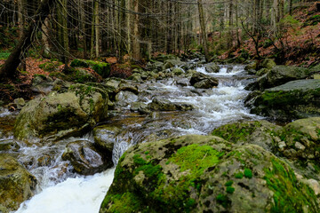 Whether sea, lake or river, water is one of the most beautiful elements of nature. Glistening in the sun, it makes every holiday even more beautiful.