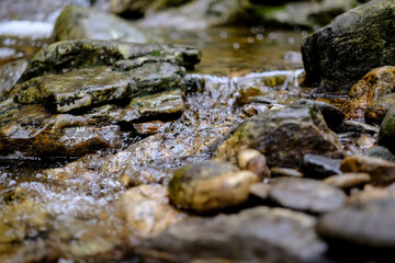 Whether sea, lake or river, water is one of the most beautiful elements of nature. Glistening in the sun, it makes every holiday even more beautiful.