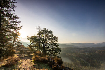 Landscape shot in sunrise, cold winter landscape from a sandstone rock in the middle of the forest....