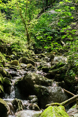 Whether sea, lake or river, water is one of the most beautiful elements of nature. Glistening in the sun, it makes every holiday even more beautiful.