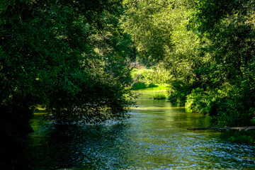 Beautiful landscape in an evening mood by the water in the sunshine.