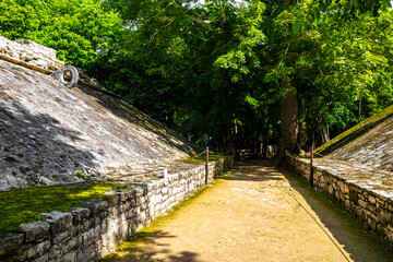 Coba Maya Ruins ancient buildings pyramids in tropical jungle Mexico.