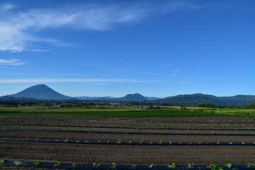 Fototapeta na wymiar The view of countryside in Hokkaido, Japan