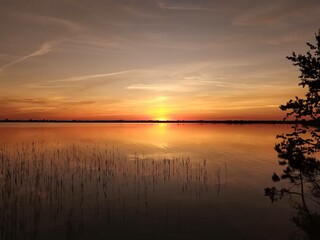 Swamp lakeside sunset
