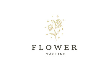 Roses line art style. flower luxury beauty salon, fashion, skincare, cosmetic, nature and spa