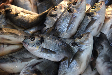 frischer Fisch auf Fischmarkt in Izmir