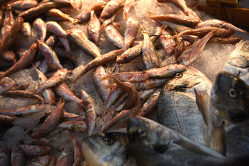 frischer Fisch auf Fischmarkt in Izmir