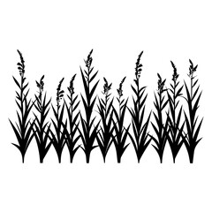 Vector Illustration of Grass