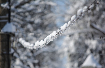 snow on fence