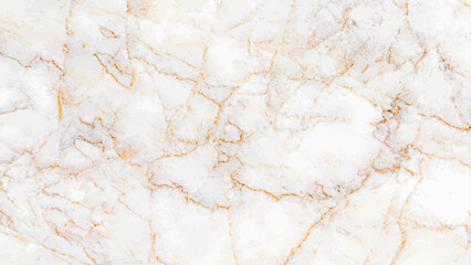 white marble texture vector