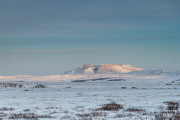 View over the snow-covered flat volcanic landscape in Iceland with snowy mountains in skimming morning sunlight in background against a clear blue sky
