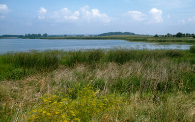 &eacute;tang de L'Indre, Parc naturel r&eacute;gional de Lorraine, Dieuze, Moselle, 57, France