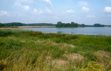 étang de L'Indre, Parc naturel régional de Lorraine, Dieuze, Moselle, 57, France