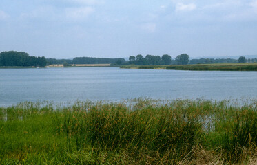 étang de L'Indre, Parc naturel régional de Lorraine, Dieuze, Moselle, 57, France