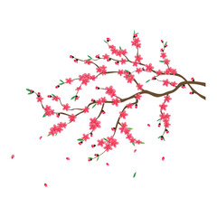 Peach blossom flat vector illustration isolated on white background. Element for spring, lunar new year, chinese new year concept. Clip art for greating card, banner, brochure, web, sticker.