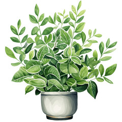houseplant element trees leaves.designed for digital use decoration, website, page and general digital work