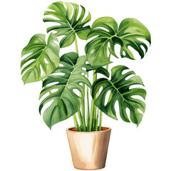 houseplant element trees leaves.designed for digital use decoration, website, page and general digital work